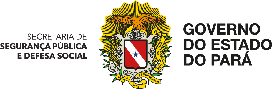 Governo do Pará